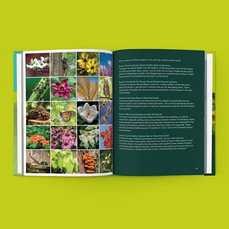Testing Journal
